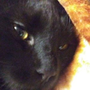 Meet your Posher, Kirsten